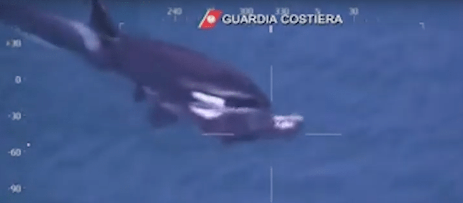 Le orche di Genova maestre di vita
