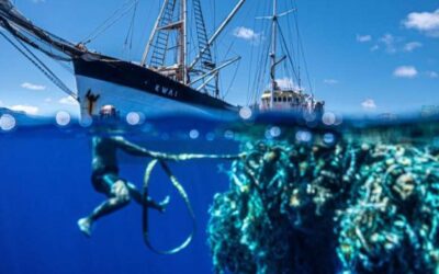 100 tonnellate di plastica rimossi dall’oceano grazie all’Ocean Voyages Institute