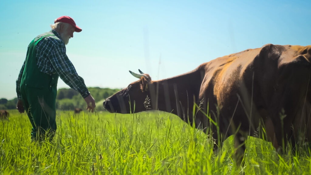 Da FederBio le regole anti-pandemie per gli allevamenti