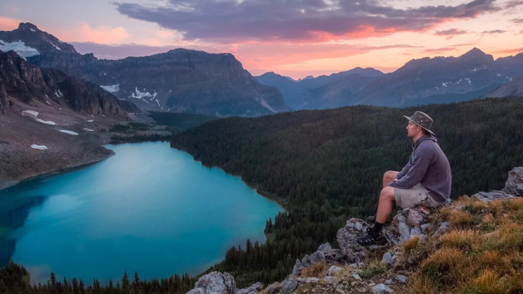 Il "bagno nella foresta": perché la Natura fa bene