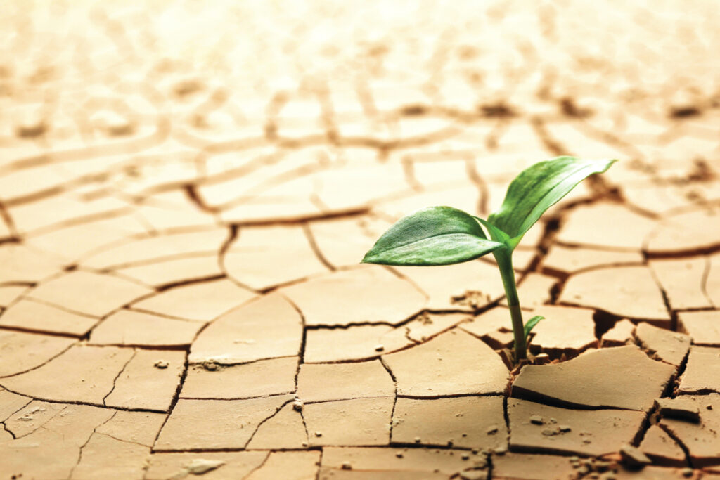 "La prossima pandemia per la quale non ci saranno vaccini"