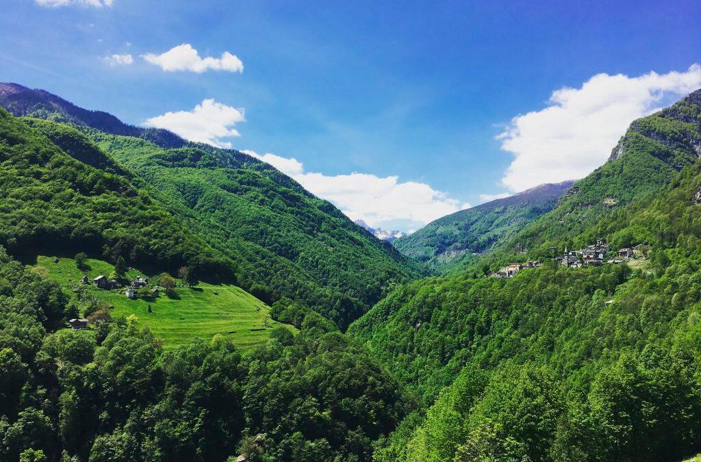 Nel Canton Ticino nasce Terramagra per tutelare ambiente e biodiversità