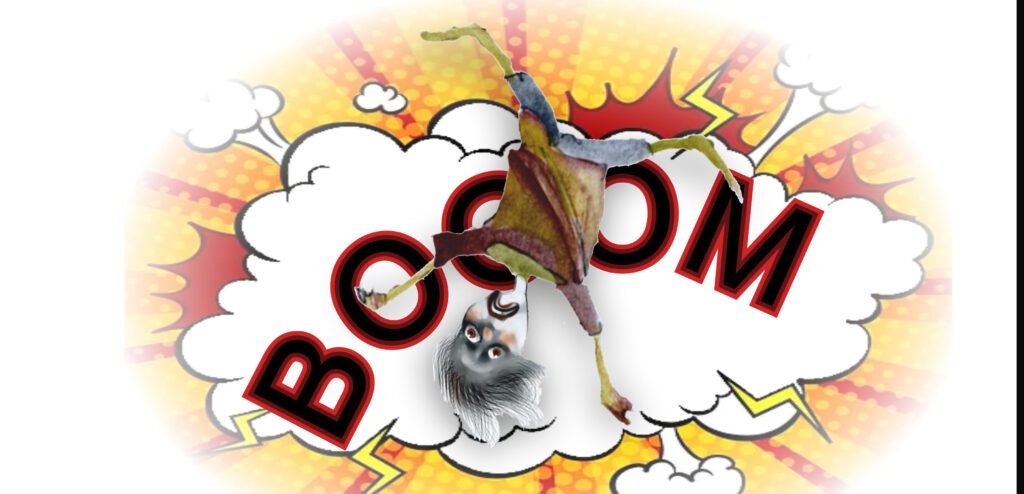 omeopata in emergenza