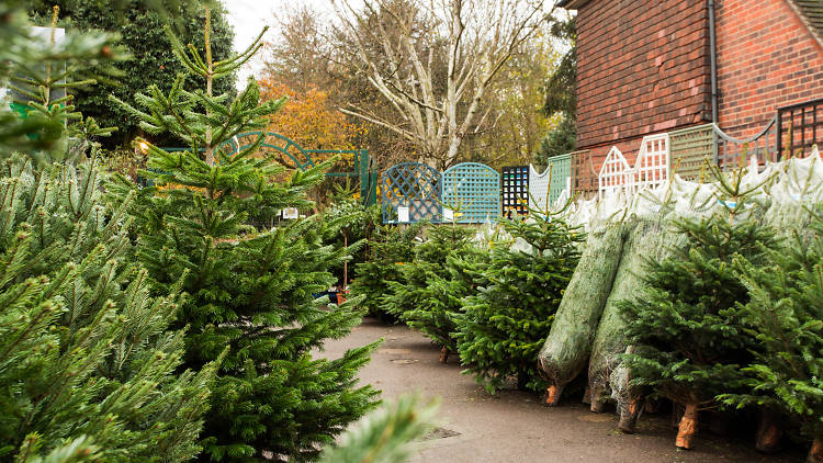 A Natale meglio un albero finto o uno vero?
