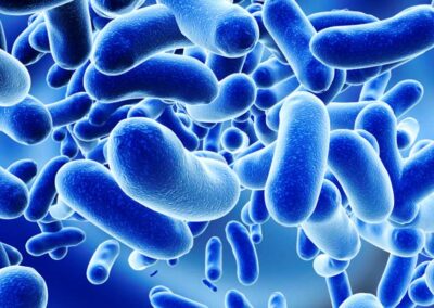 Microbiota, bifidobatteri e salute