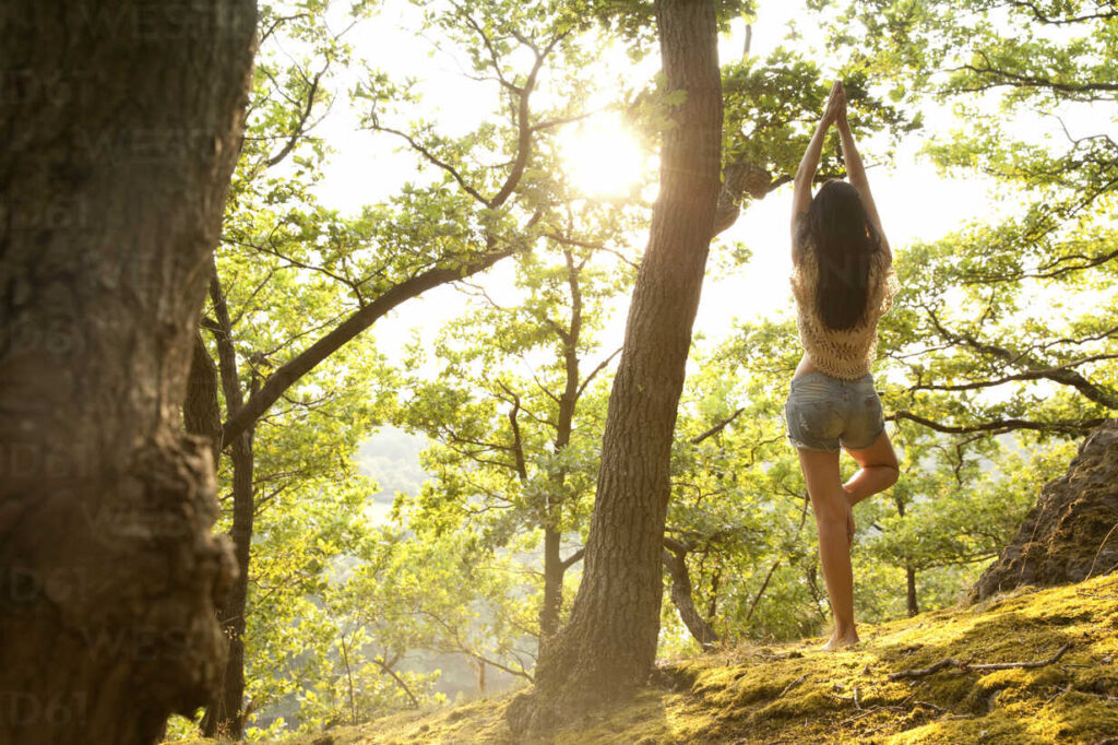 In Canada il bagno nella foresta è una terapia riconosciuta