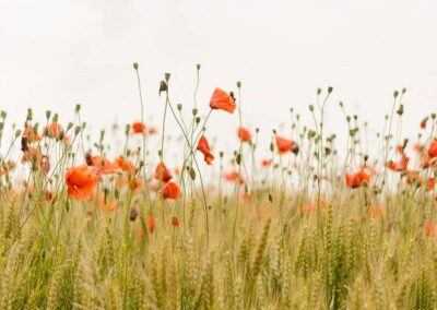 Raffreddore da fieno – rimedi naturali