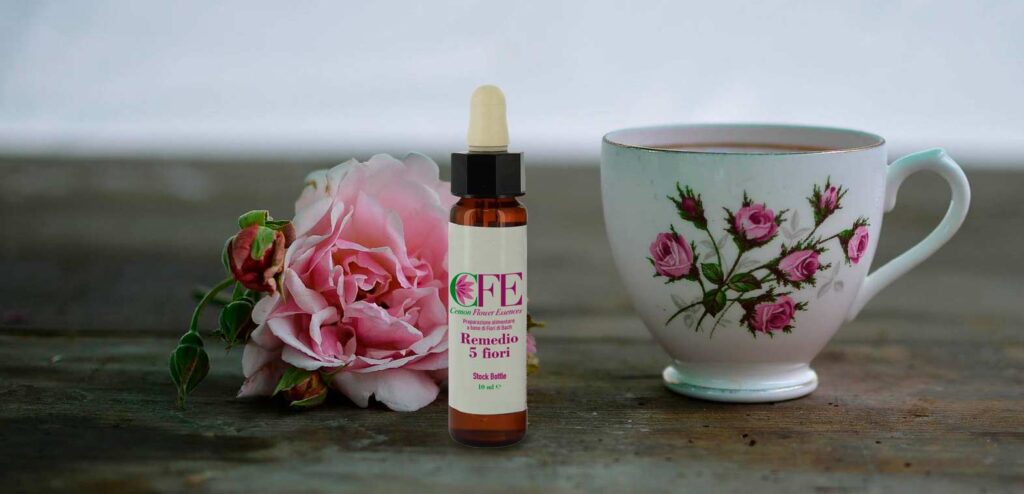 Mimulus-Larch-Fiori-di-Bach