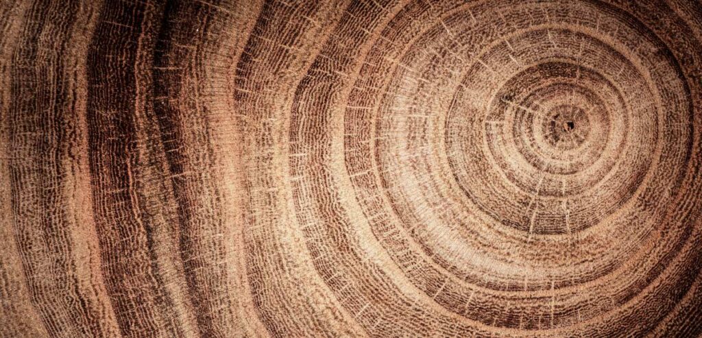 menopausa: tempo-ciclico