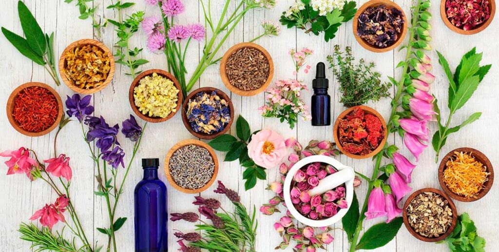 Fiori-di-Bach-cosa-sono-e-come-si-usano