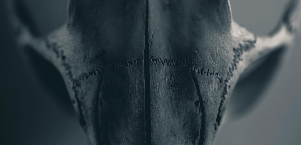 ossa-e-psicosomatica