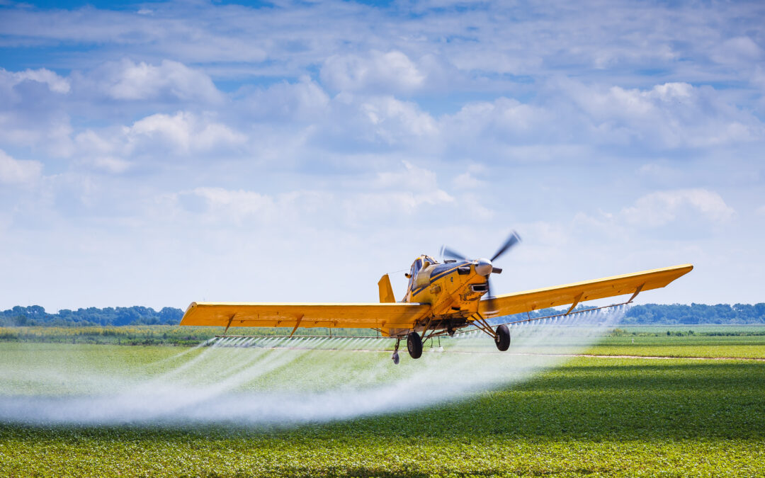 Pesticidi negli alimenti: “gravi danni per la salute”
