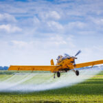 Pesticidi negli alimenti danni per la salute