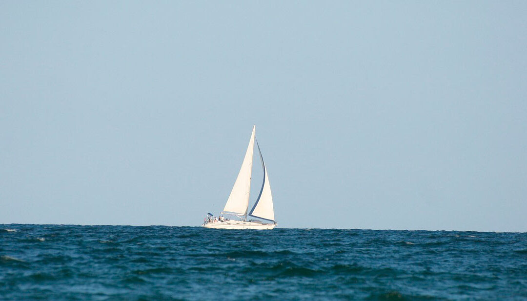 Cocculus e mare forza 7
