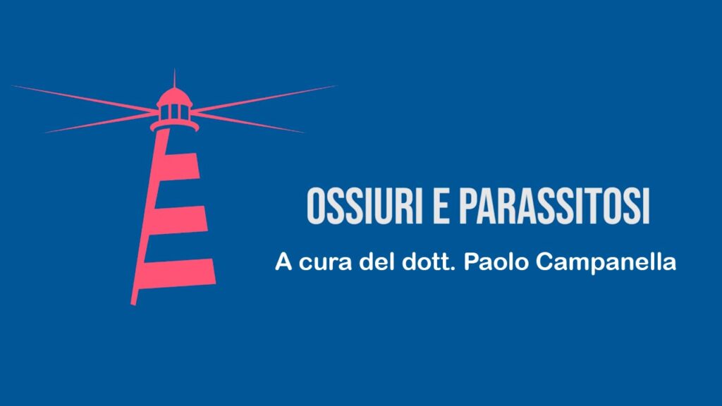 campanella-ossiuri