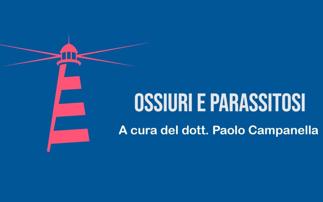 Ossiuri e parassitosi – Il medico omeopata risponde