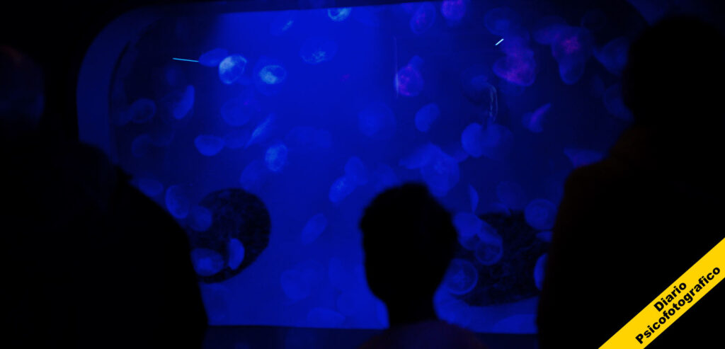 Diario-psicofotografico