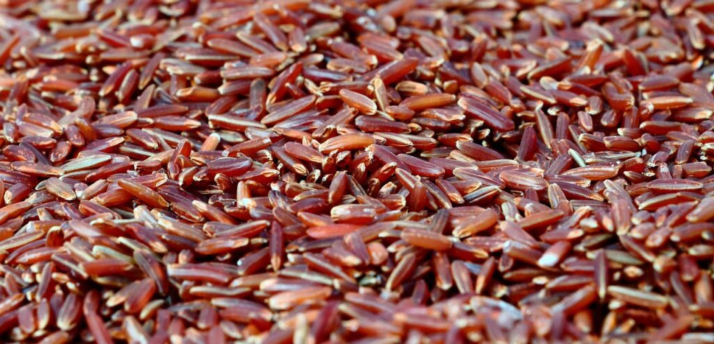 riso.rosso.fermentato