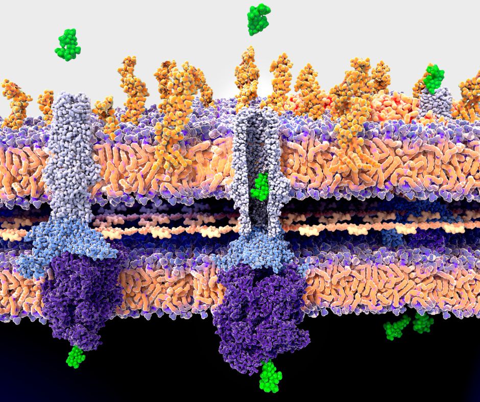 malattie dei bambini resistenti agli antibiotici