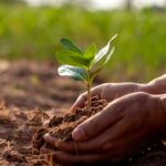 La crescente minaccia del consumo del suolo