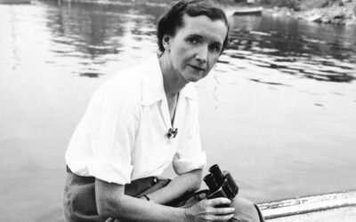 Rachel Carson: alle radici del pensiero ambientalista