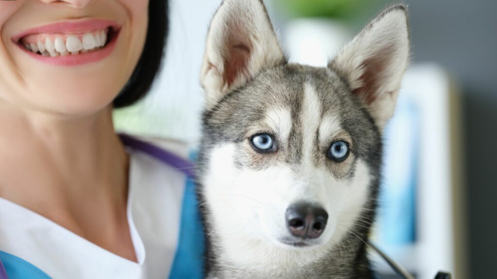 Medicina omeopatica veterinaria: crescita delle cure alternative naturali