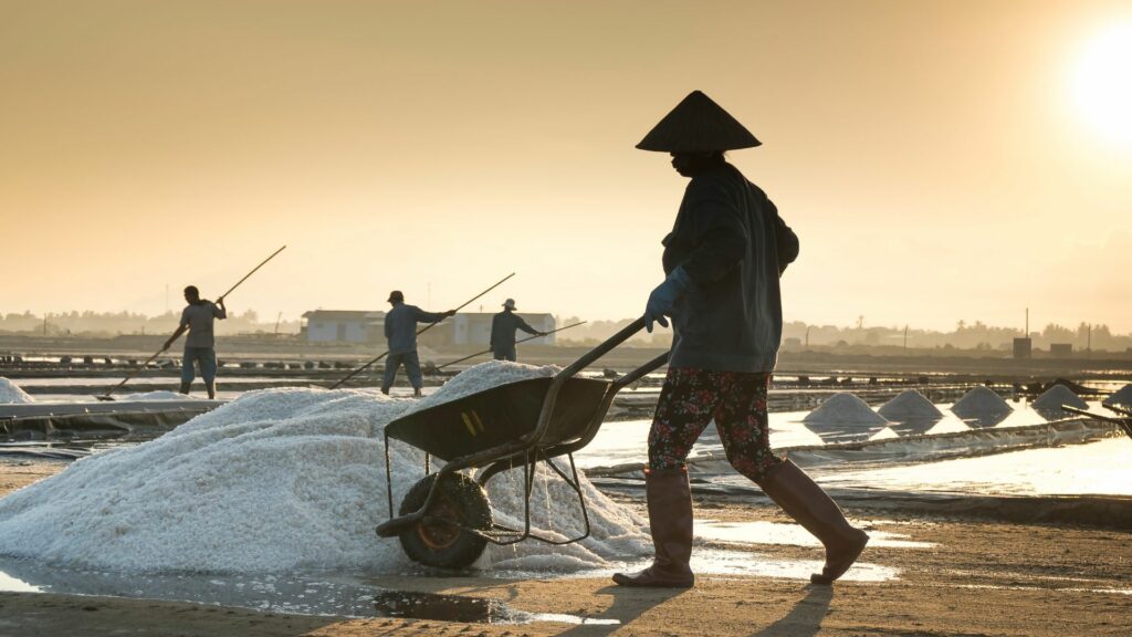 Il sale da cucina fa più male di quanto credi