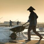 Il sale da cucina fa più male di quanto credi