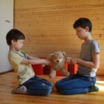 A 5 anni i bambini hanno già un codice morale