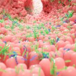 Allarme intestino: sotto i 20 anni malattie in rapido aumento