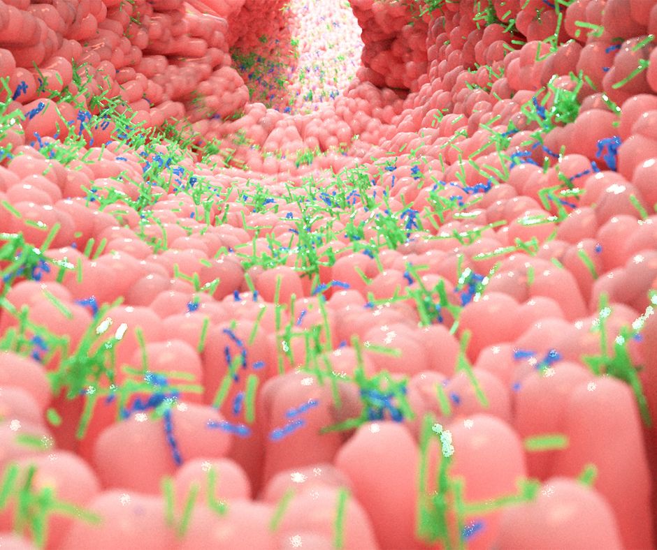 Allarme intestino: sotto i 20 anni malattie in rapido aumento