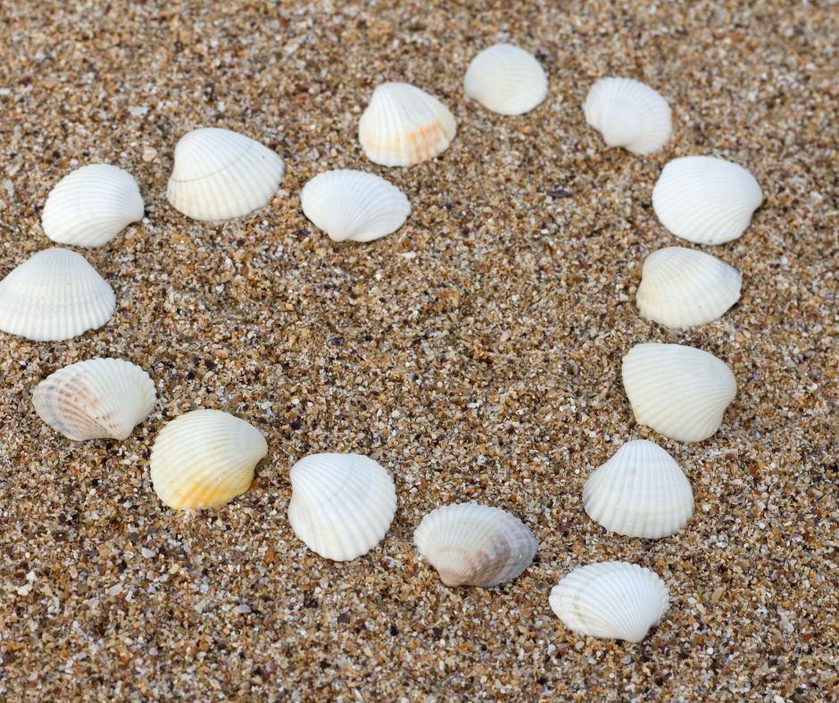 Il Cuore delle Donne in Estate