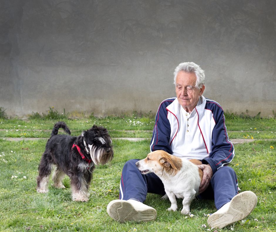 Animali da compagnia e benessere degli anziani