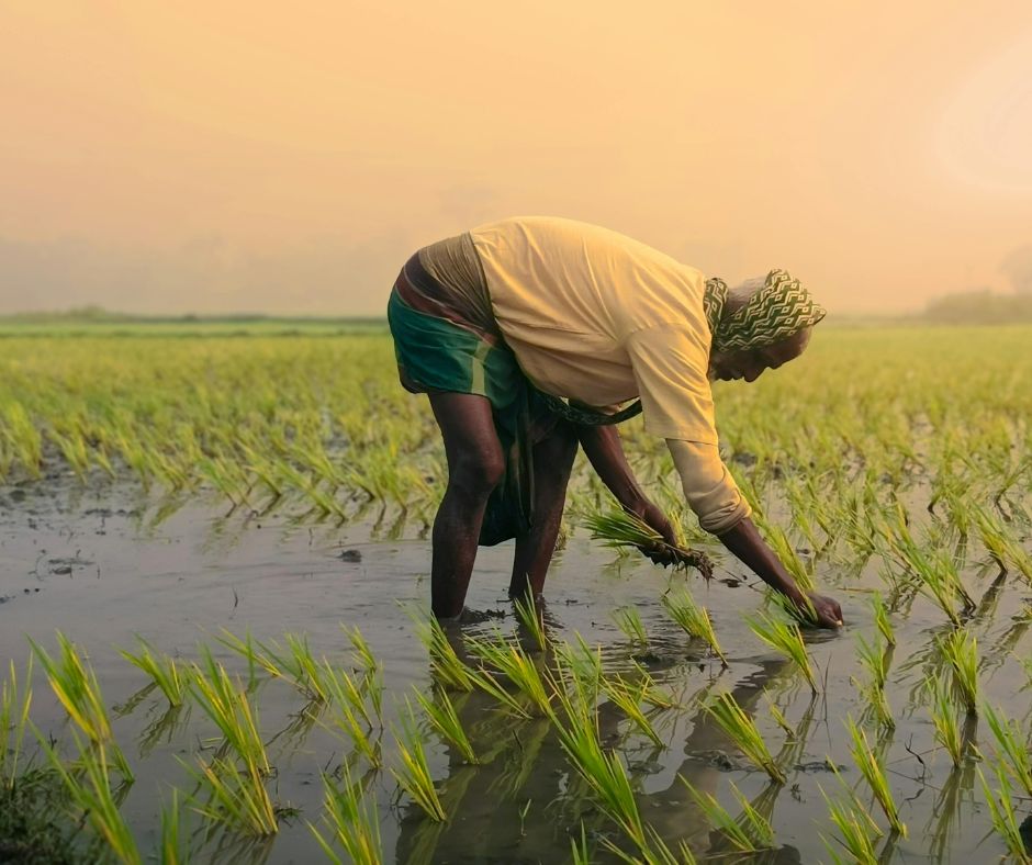 Agro-omeopatia sistemica: un approccio vincente all’agricoltura