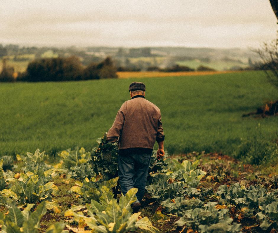 L’accordo commerciale UE-Mercosur solleva dubbi su salute, ambiente, standard agricoli e diritti umani.