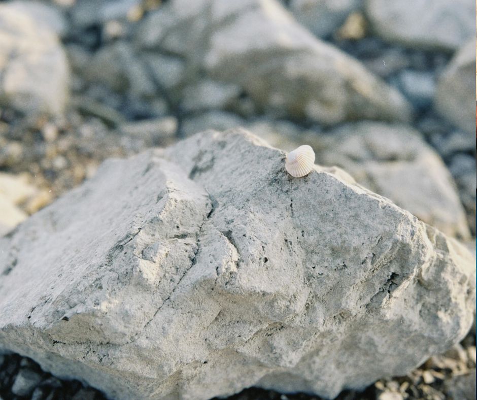 Baryta carbonica: il rimedio per ripartire