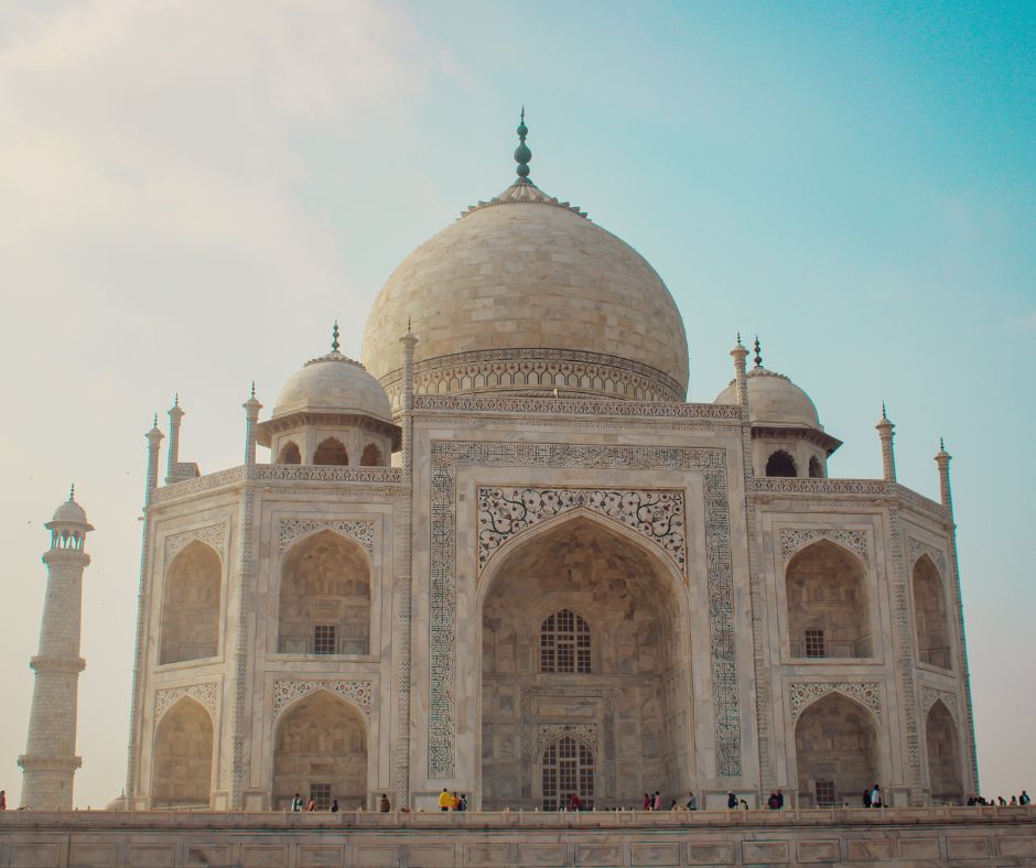 Omeopatia in India: da tradizione a potenza globale