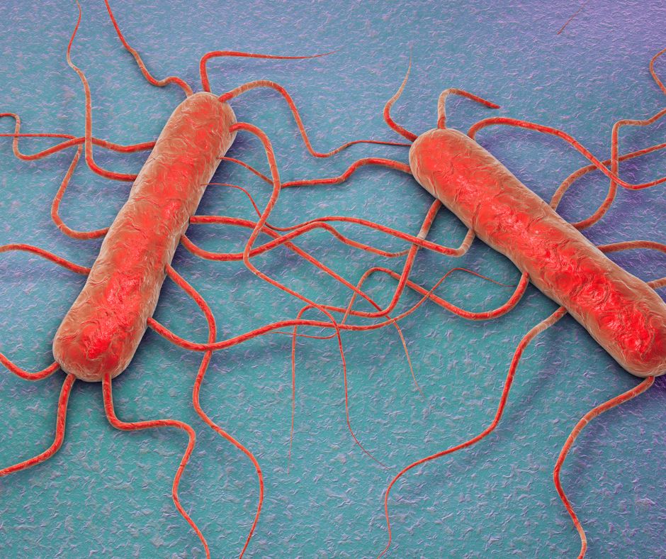 Antibiotici inutili, superbatteri in aumento: l'Omeopatia cambia strategia