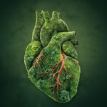 Il cuore vive nell'ambiente in cui batte