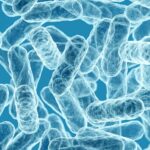 Cemon premiata per l’innovazione sul microbiota
