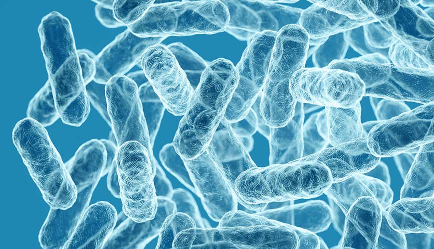 Cemon premiata per l’innovazione sul microbiota