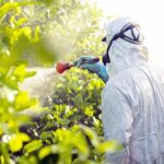Pesticidi e cancro: il rischio aumenta del 150%