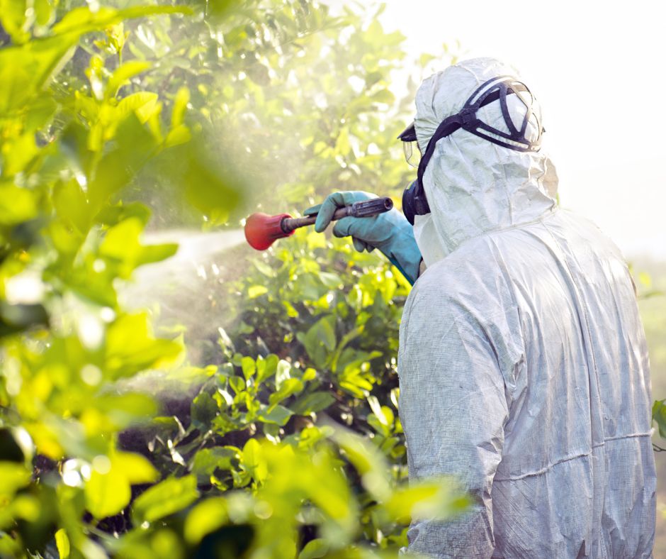 Pesticidi e cancro: il rischio aumenta del 150%