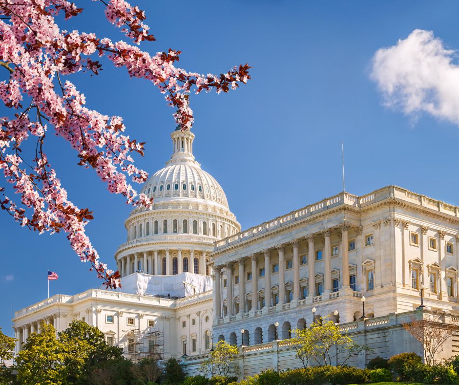 Negli USA una legge per l'Omeopatia: il Senato sfida la FDA