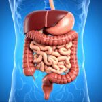 Tumore colon-retto: perché il microbiota è importante